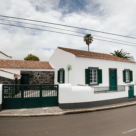 Casa Das Palmeiras Sao Vicente Ferreira Ngoại thất bức ảnh