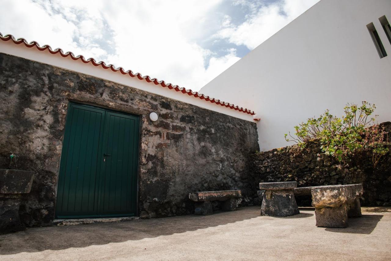 Casa Das Palmeiras Sao Vicente Ferreira Ngoại thất bức ảnh